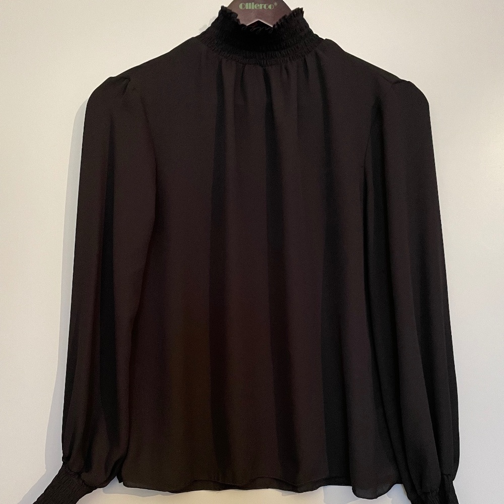 Long Sleeve Sheer Blouse